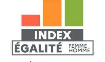 Index égalité femmes-hommes